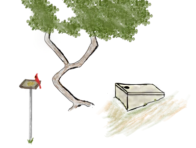 Before the well runs dry