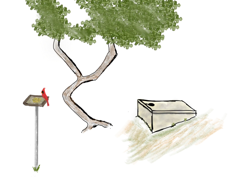 Before the well runs dry